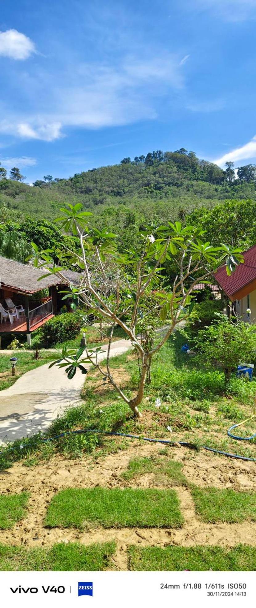 Mookies Bungalows Ko Mook Buitenkant foto