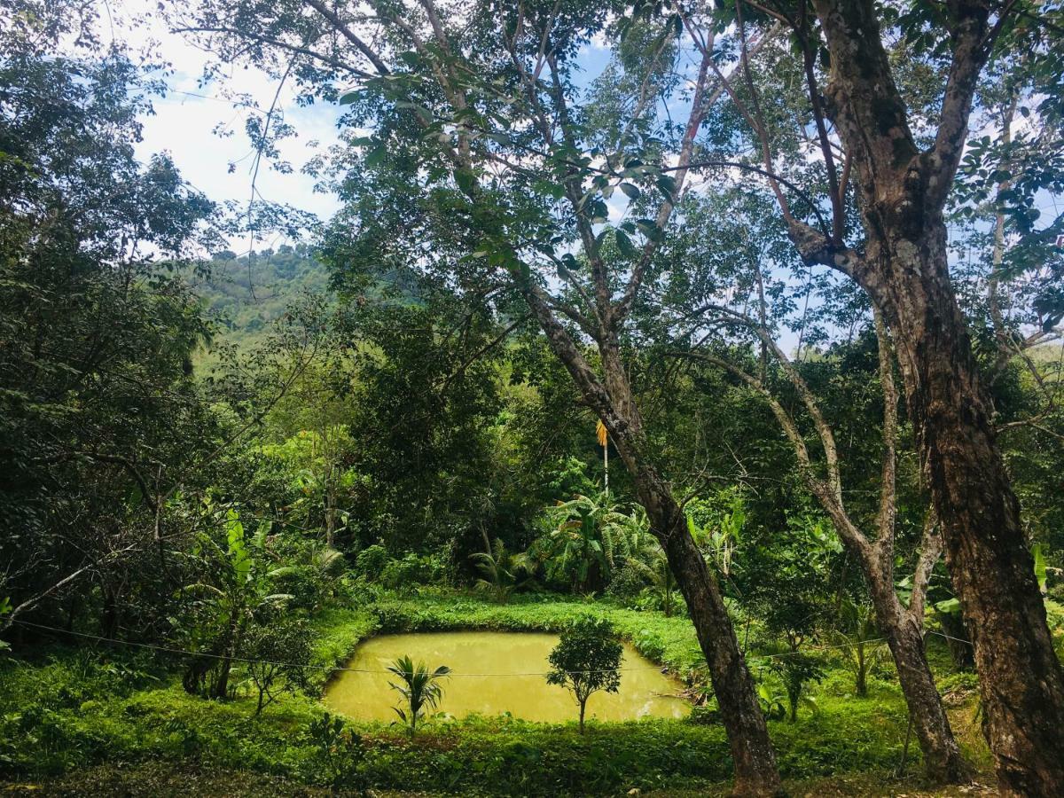 Mookies Bungalows Ko Mook Buitenkant foto